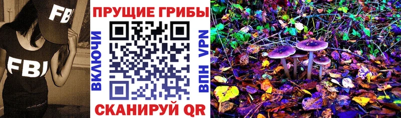Псилоцибиновые грибы GOLDEN TEACHER  блэк спрут маркетплейс  Ржев 